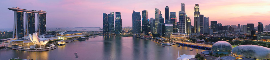 Singapore Company Incorporation